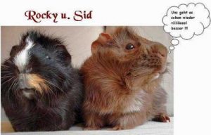 "Rocky" u. "Sid"